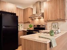 3 1/2 au 1253 Rue Wolfe - Downtown - Photo 9