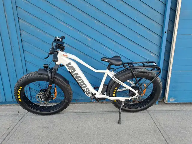 Vamoose Mammoth E-Bike (31964331)