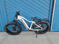Vamoose Mammoth E-Bike (31964331)