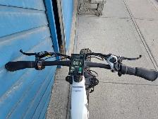 Vamoose Mammoth E-Bike (31964331) - Photo 3