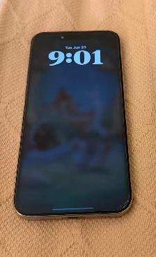 iPhone 15 Pro Max