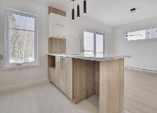 Superbe 6 ½ sur 3 niveaux – 1 salle d'eau et de bain   sous-sol - Photo 11