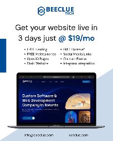 Professional Website for Your Business – $19/Month | Toronto