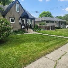 yard cleanup - Photo 2