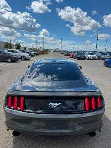 2015 Ford Mustang EcoBoost Premium : Coupe - Photo 5