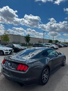 2015 Ford Mustang EcoBoost Premium : Coupe - Photo 6
