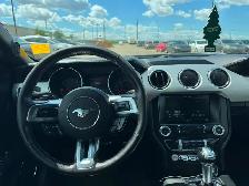 2015 Ford Mustang EcoBoost Premium : Coupe - Photo 11
