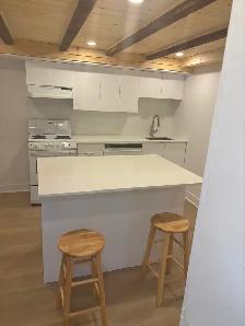 Beau 2 1/2 rénové sur le Plateau disponible le 1er juillet!! - Photo 6