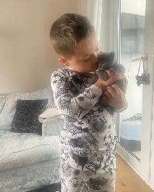 Healthy Purebred Russian Blue Kittens!! - Photo 3