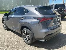 2019 Lexus NX 300 EXECUTIVE AWD - RED LTHR! NAV! 360 CAM! HUD! S - Photo 5