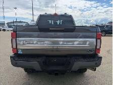 2022 Ford F-250 Platinum TREMOR/7.3L Gas - Photo 8