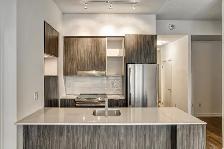 2 BED   1 DEN (& 2 FULL BATH) LUXURY CONDO - Photo 9