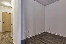 2 BED   1 DEN (& 2 FULL BATH) LUXURY CONDO - Photo 21