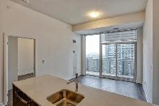 2 BED   1 DEN (& 2 FULL BATH) LUXURY CONDO - Photo 11