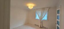 BEAUTIFUL 2 BEDROOM APARTMENT LUXURIOUS FOR AUGUST 1 - Photo 8