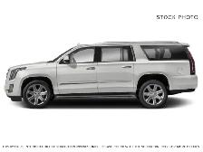 2019 Cadillac Escalade ESV BASE - Photo 2
