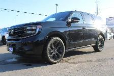2025 Ford Expedition Platinum - Photo 5