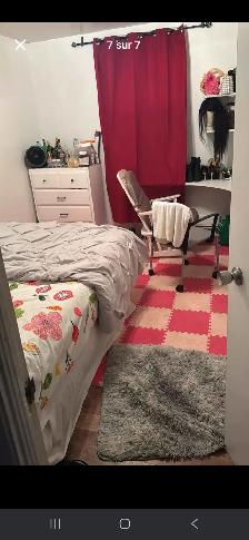 Chambre tout inclus à Sainte-Foy – déal pour étudiante ! (À 8 m - Photo 7
