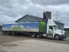 GREEN GRASS SOD - Photo 8