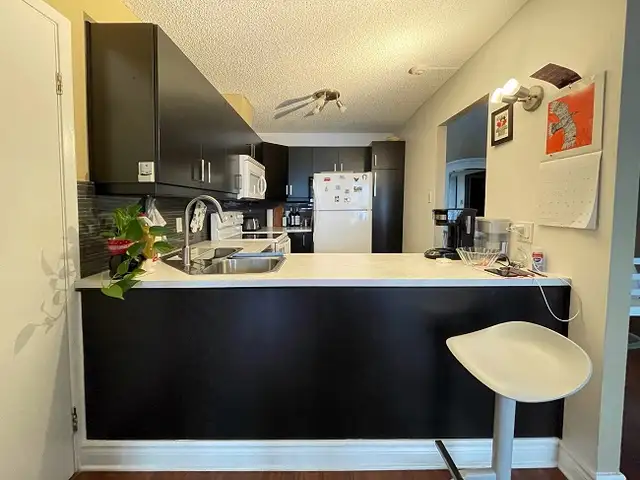Bright 2 Bedroom Executive Condo (Downtown)