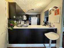 Bright 2 Bedroom Executive Condo (Downtown)