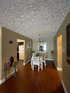 Bright 2 Bedroom Executive Condo (Downtown) - Photo 4