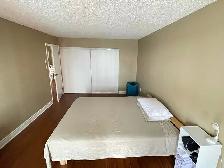 Bright 2 Bedroom Executive Condo (Downtown) - Photo 6
