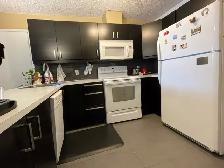 Bright 2 Bedroom Executive Condo (Downtown) - Photo 9