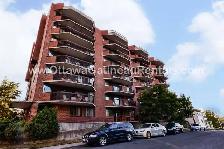 Bright 2 Bedroom Executive Condo (Downtown) - Photo 12