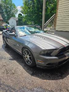 Mustang Gt 2013 Premium