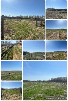 52 Acres 3 bed /2 Bath Home - Photo 2