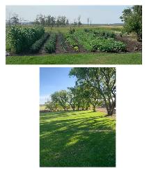 52 Acres 3 bed /2 Bath Home - Photo 3