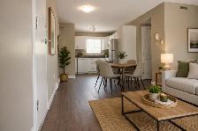 Apartment for Rent Champlain St , Dieppe - Photo 3