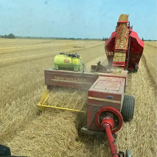 Straw in Small Square Bales! Delivery Available.
