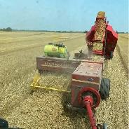 Straw in Small Square Bales! Delivery Available.