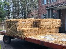 Straw in Small Square Bales! Delivery Available. - Photo 2