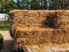 Straw in Small Square Bales! Delivery Available. - Photo 3