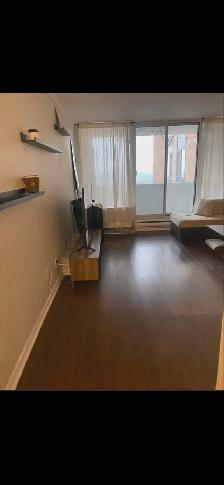 Appartement 1 chambre à louer à Gatineau - Photo 3