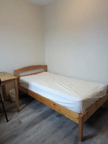 Female, 3rd flr furnished Rooms Parking @York University Village - Photo 9