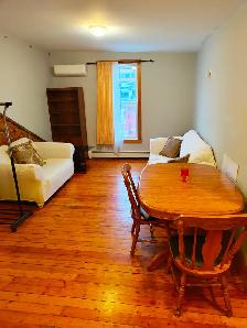 Furnished 2 Bedroom Apartment For Rent ALL INCL, near Queen's - Photo 3