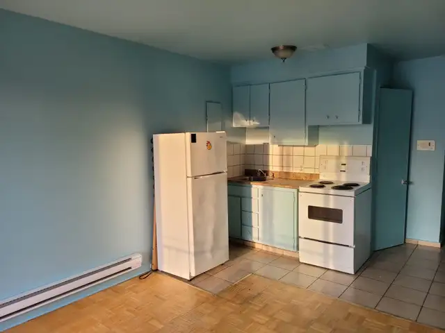 ROSEMONT . STUDIO 1 1/2 FOR RENT