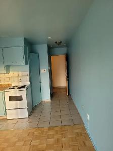 ROSEMONT . STUDIO 1 1/2 FOR RENT - Photo 2