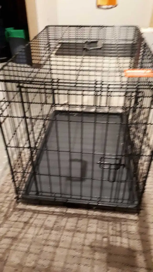 DOG PEN 30'X 19