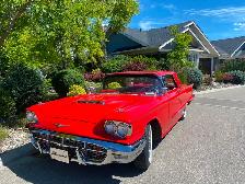 1960 TBIRD - Photo 3