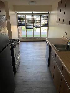 Great Location! 1 Bedroom -  Available Now! - Photo 3