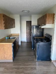 Great Location! 1 Bedroom -  Available Now! - Photo 4