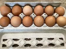 Free Range Healthy Eggs and  Chickens Forsale - Photo 3