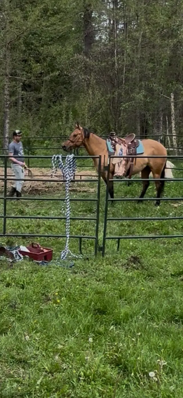 DUN MARE.