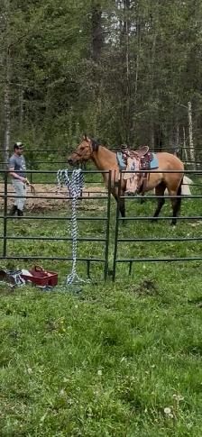 DUN MARE.