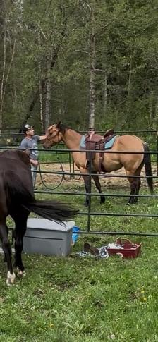 DUN MARE. - Photo 2